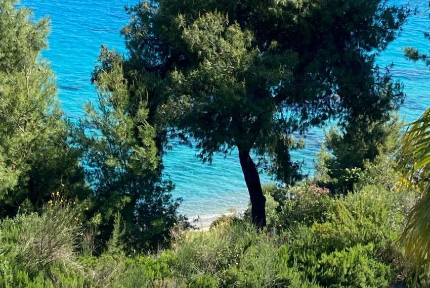 BEACH-VIEW