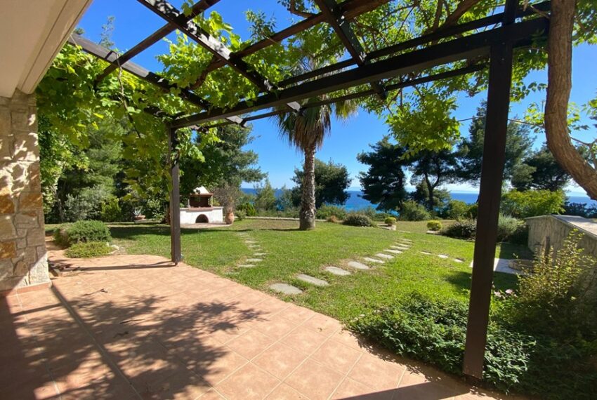 PATIO1